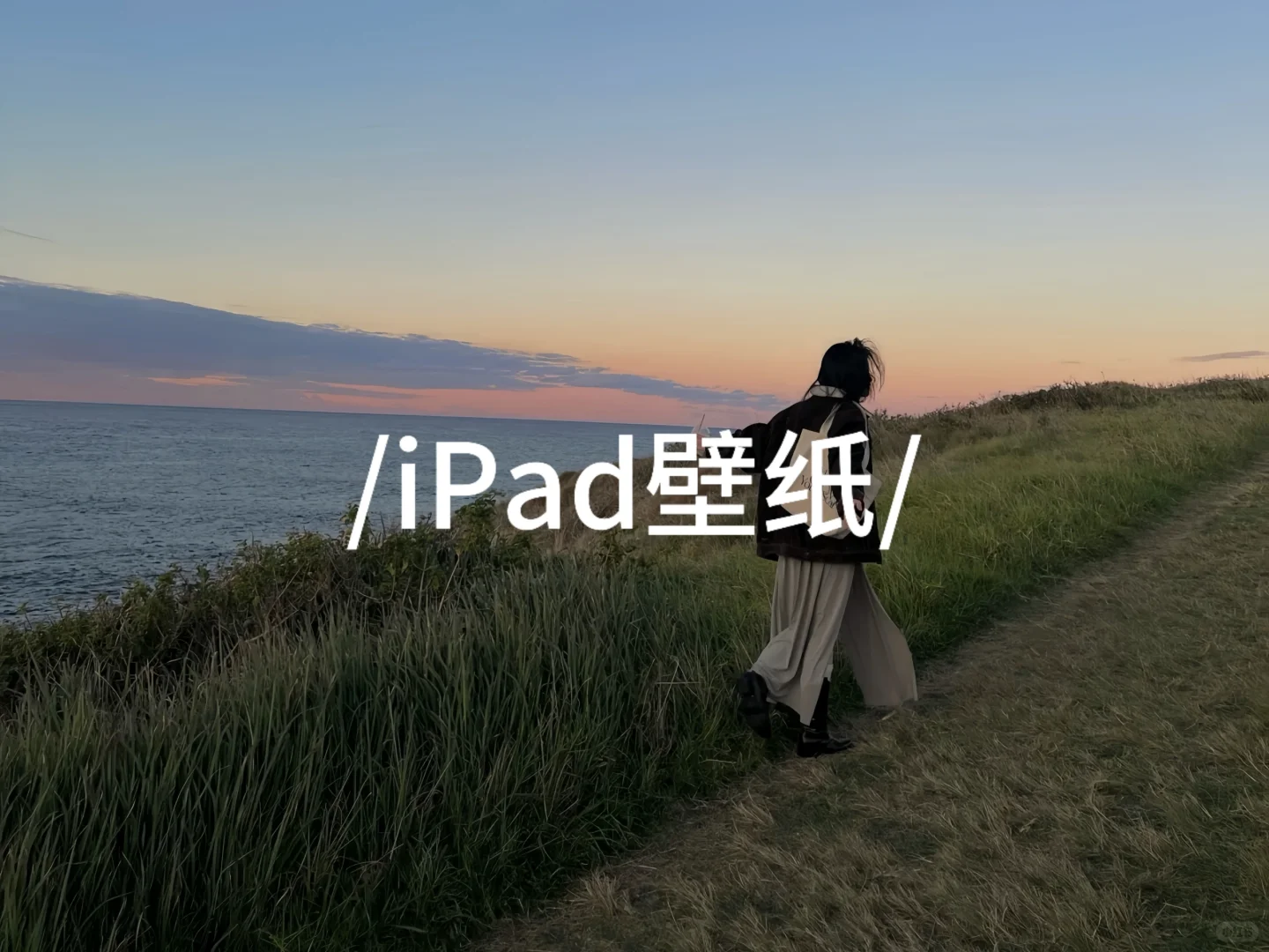 iPad壁纸‼️