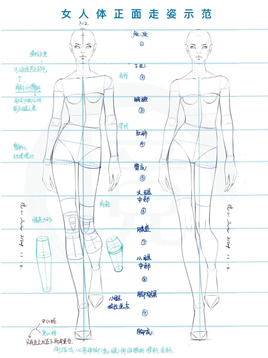 基础课第二集 服装效果图 女人体正背面