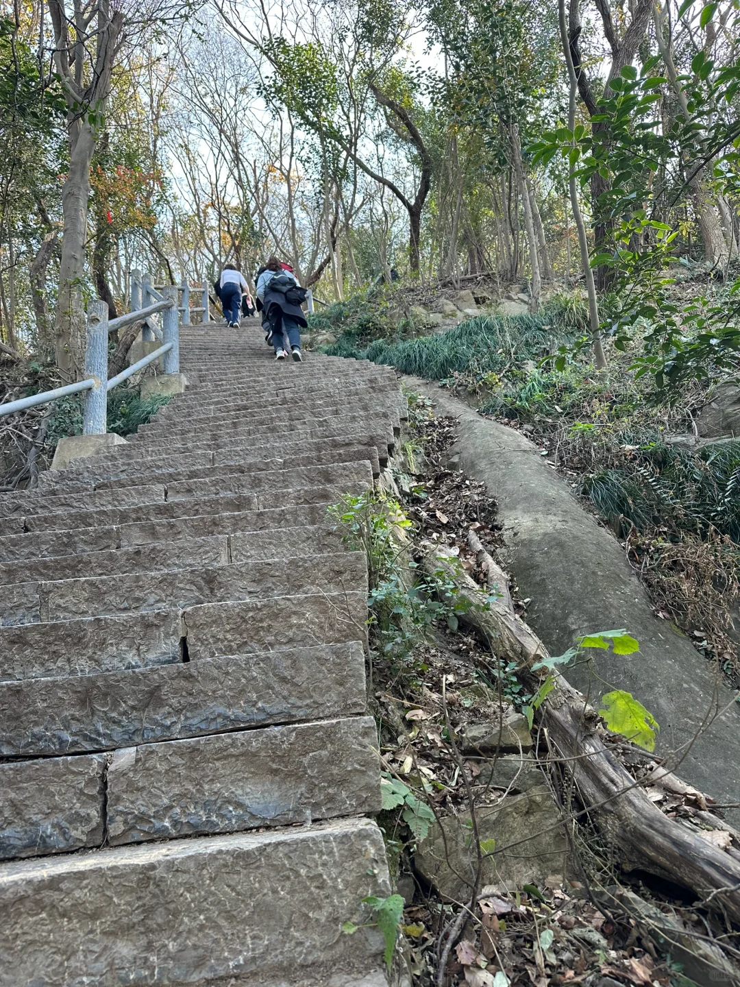 穿着丝袜去爬个山