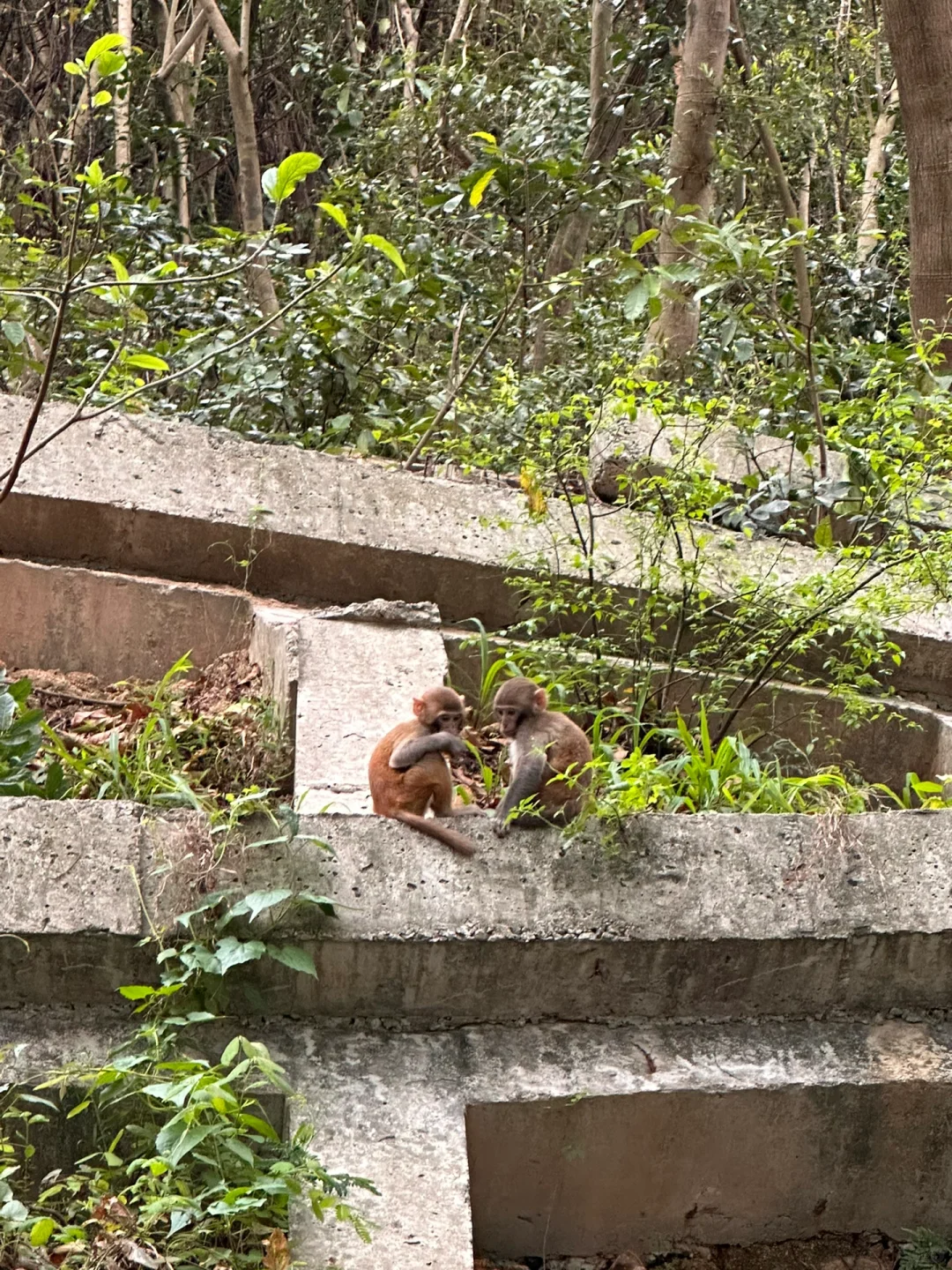 少与人纠缠 多亲近大自然🌳