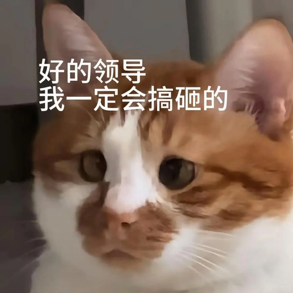 快存表情包啦