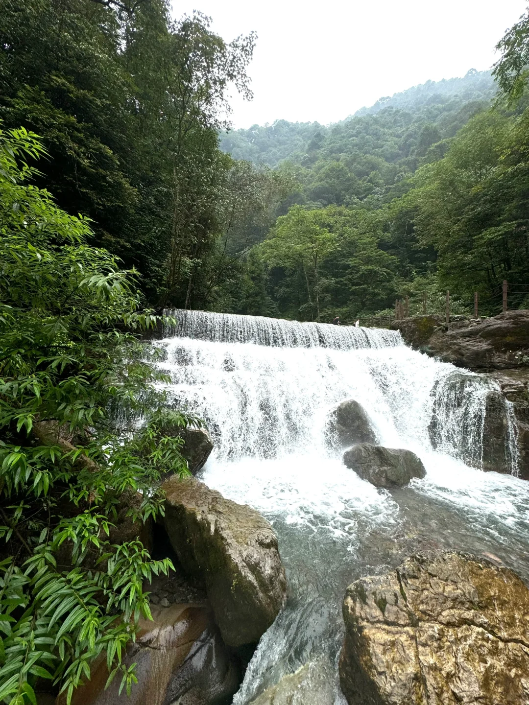 卷不动了，进山吸氧。