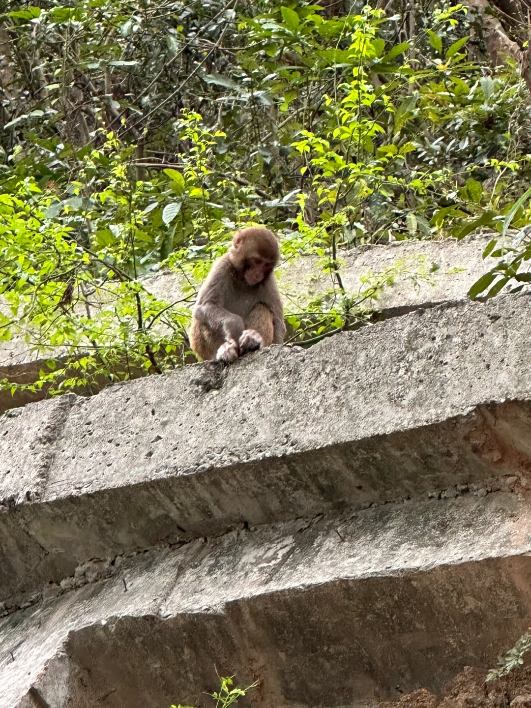 少与人纠缠 多亲近大自然?