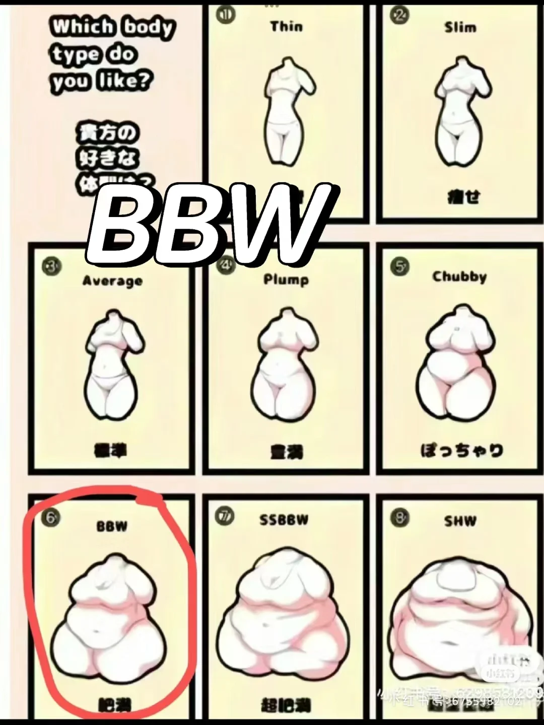 你好这个才是真正的bbw！