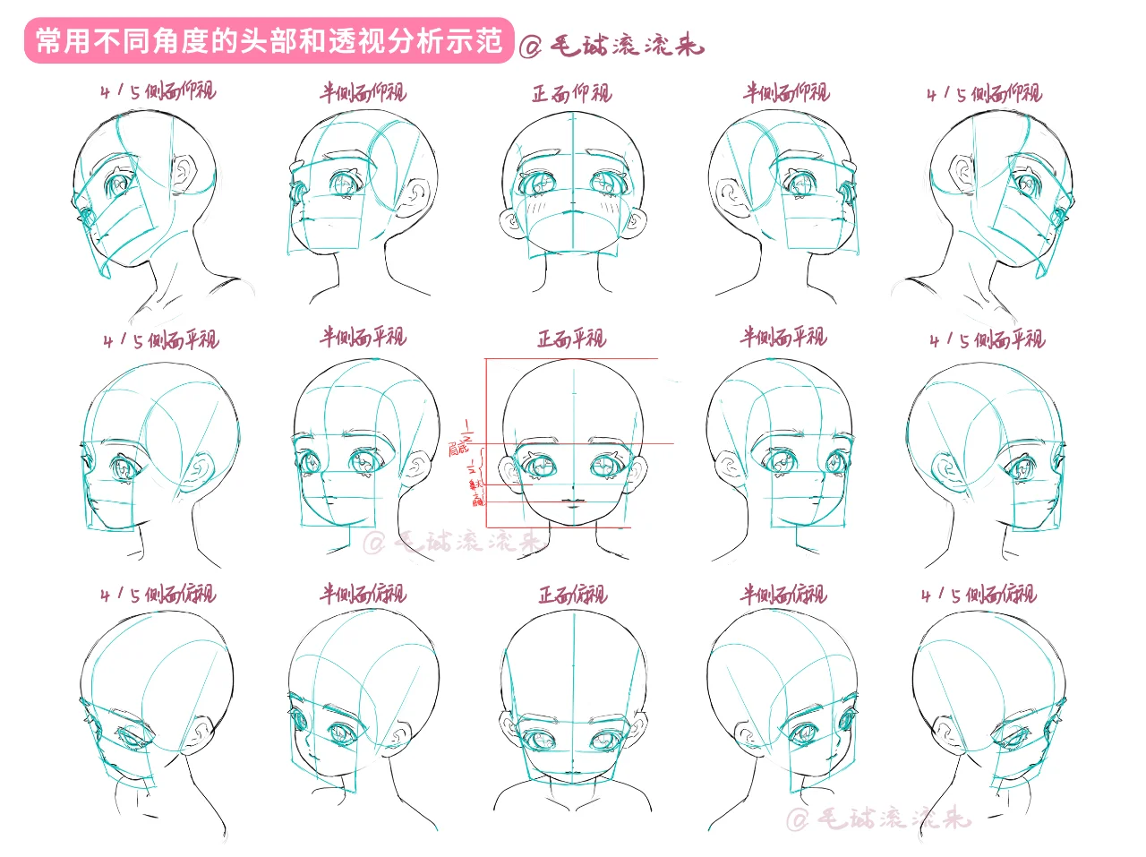 常用不同角度的头部示范和透视分析~