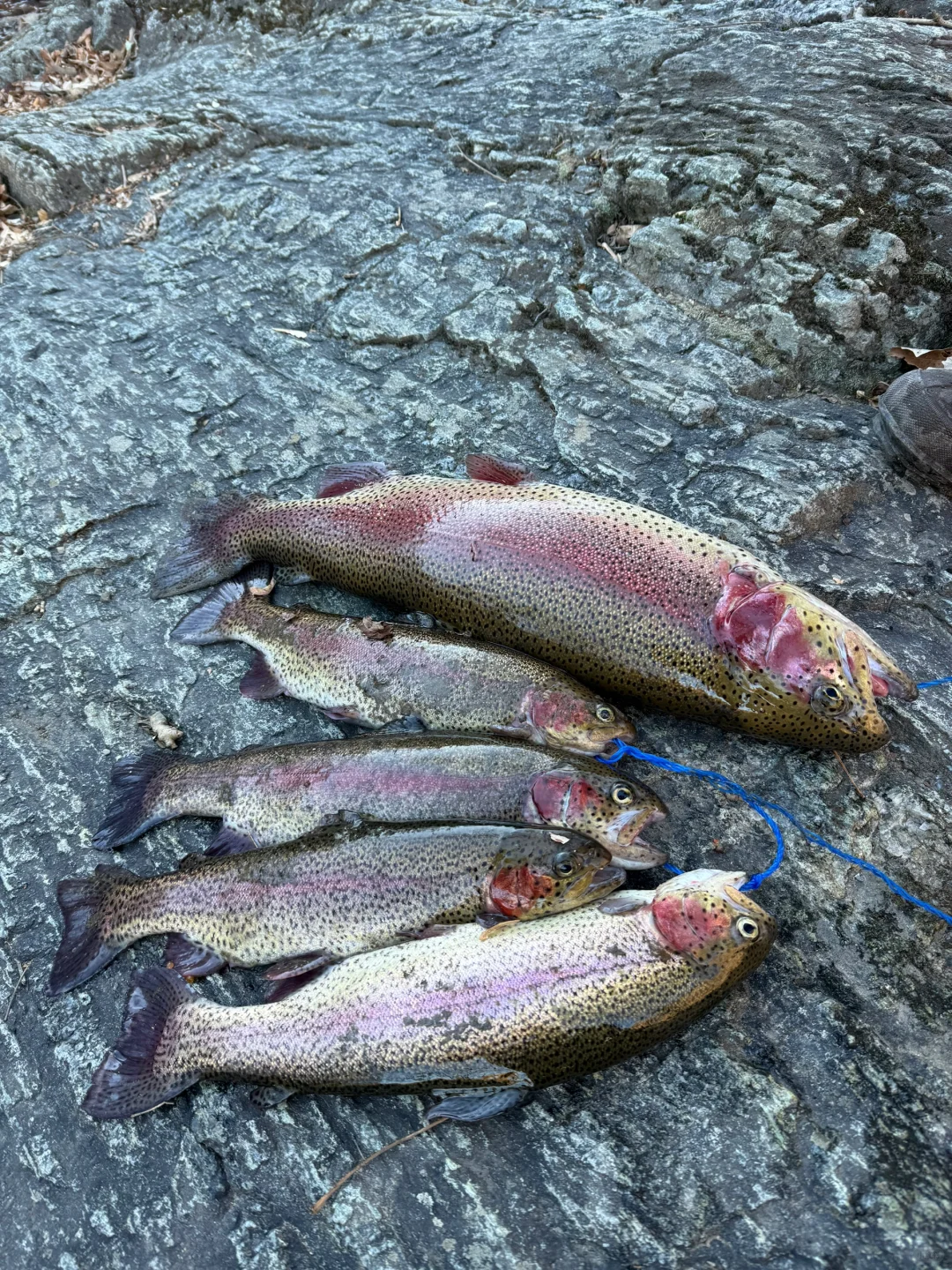 避雷保定大飘飘美甲，