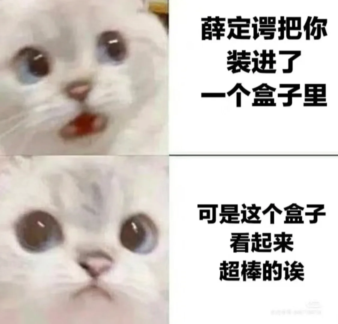 今日份梗图｜当你变成薛定谔的猫猫