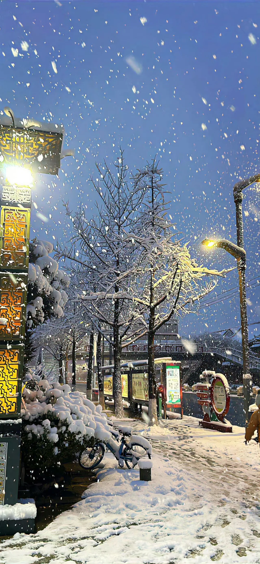 冬日限定氛围感壁纸⛄️