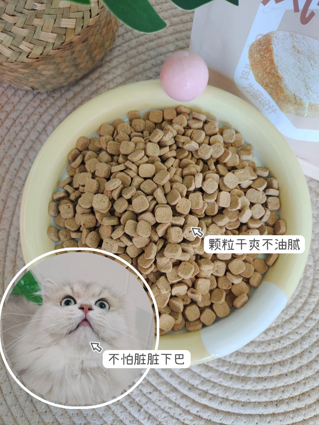 看数据选猫粮不踩雷！新手小白也能选好粮