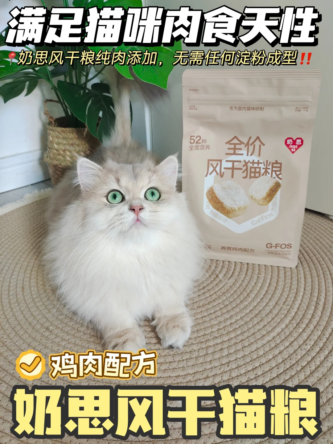 看数据选猫粮不踩雷！新手小白也能选好粮