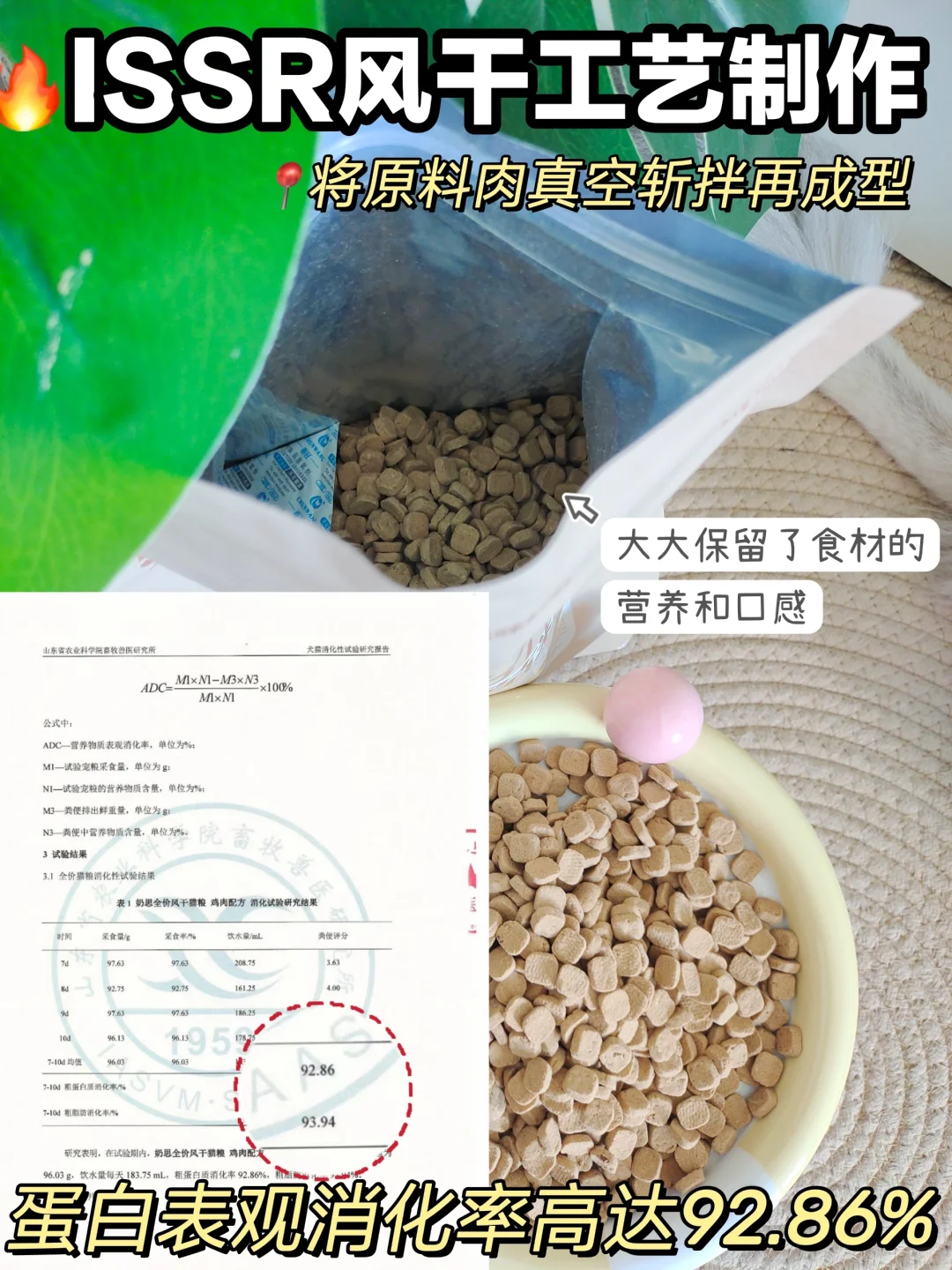 看数据选猫粮不踩雷！新手小白也能选好粮