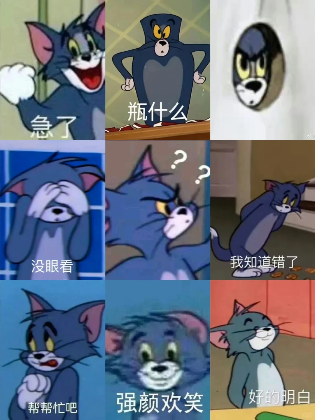 汤姆猫表情包合集