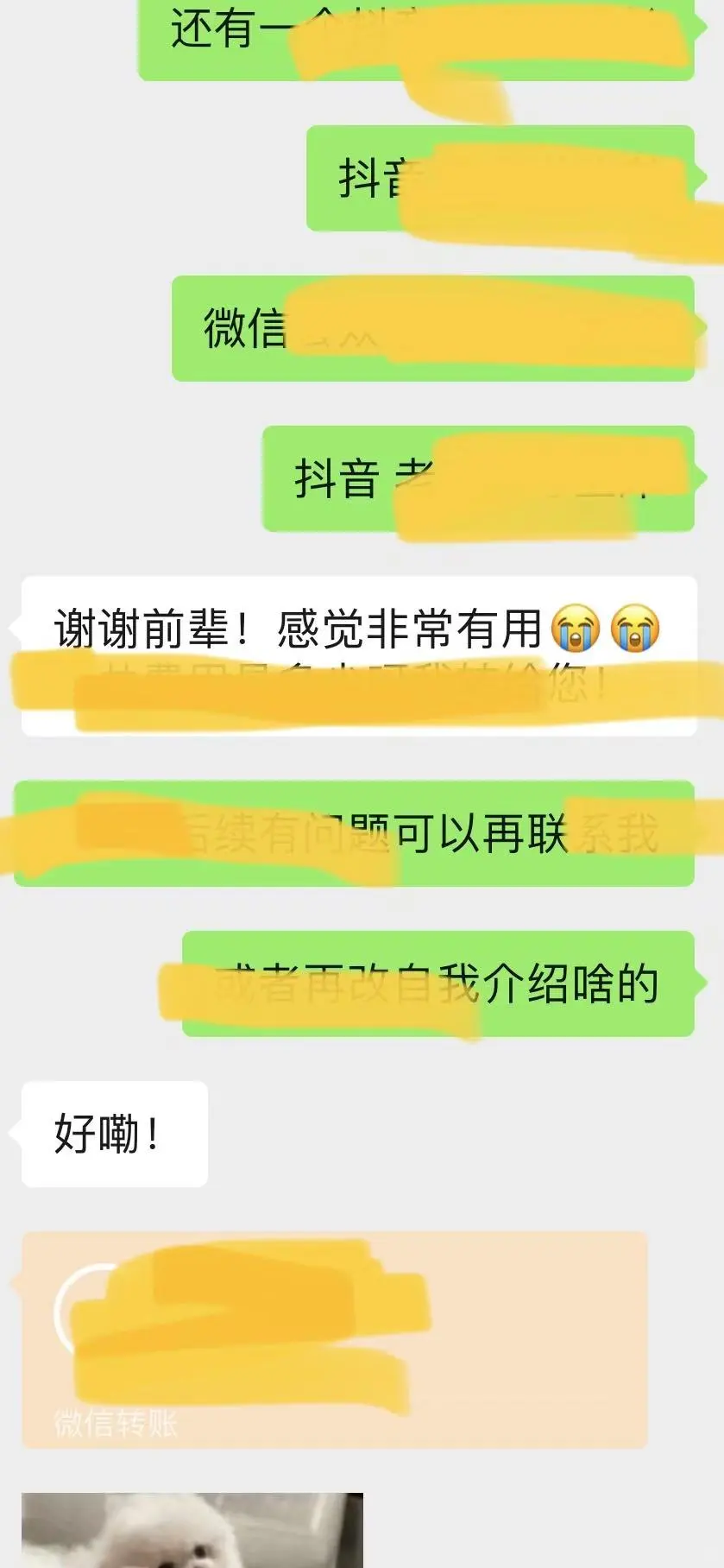 省考完就得抓紧时间学青选了