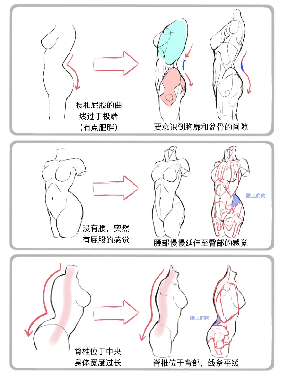 人体笔记|?女性人体腰臀曲线怎么画