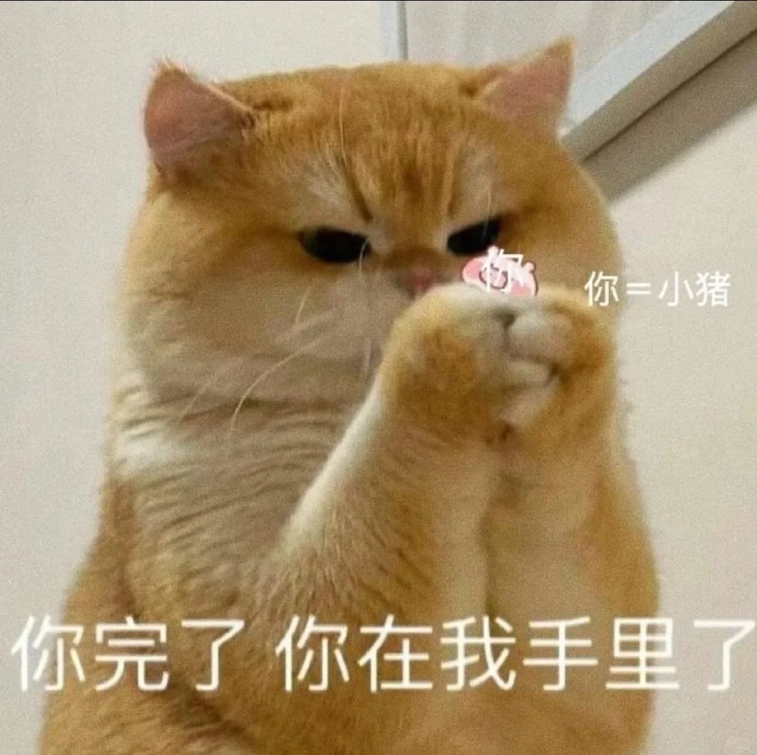 小猫干架表情包合辑2?