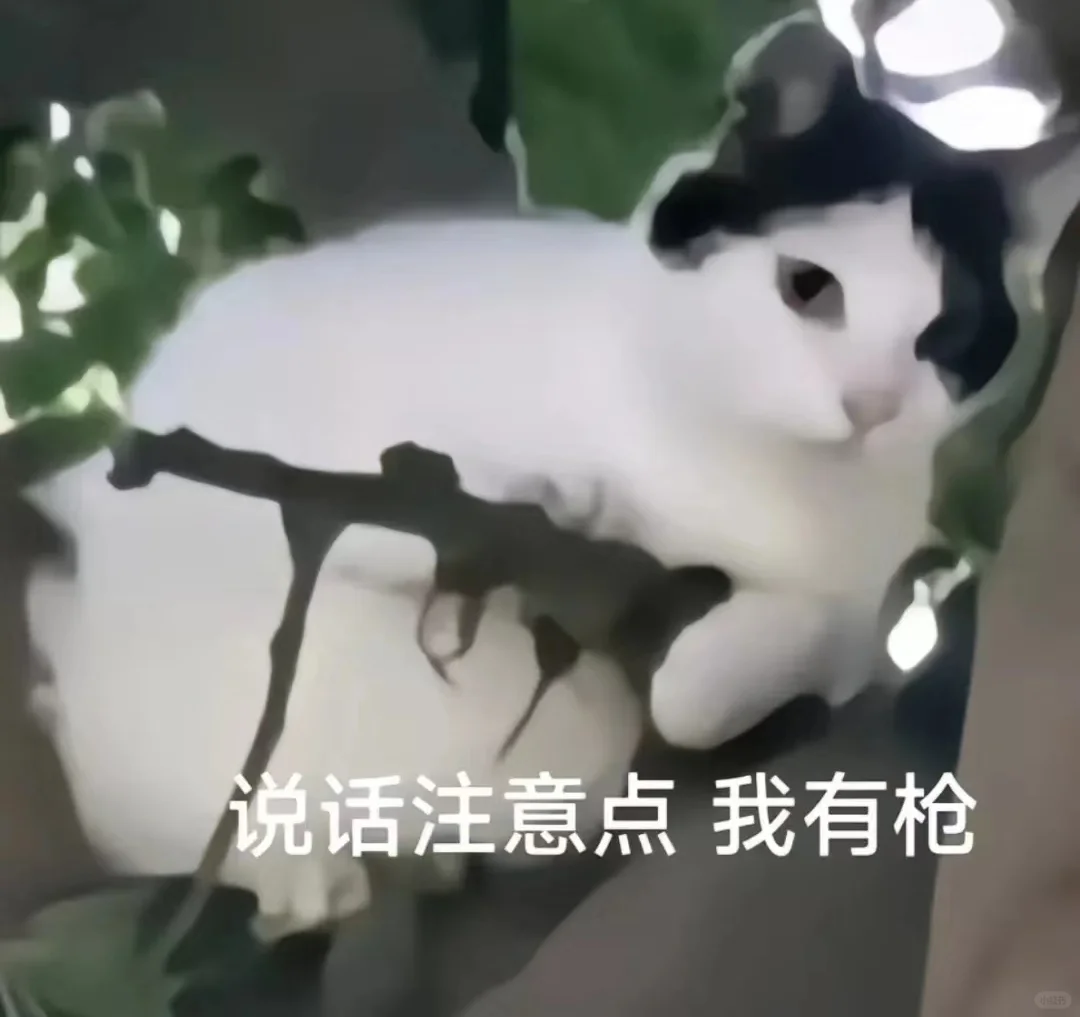 小猫干架表情包合辑2?