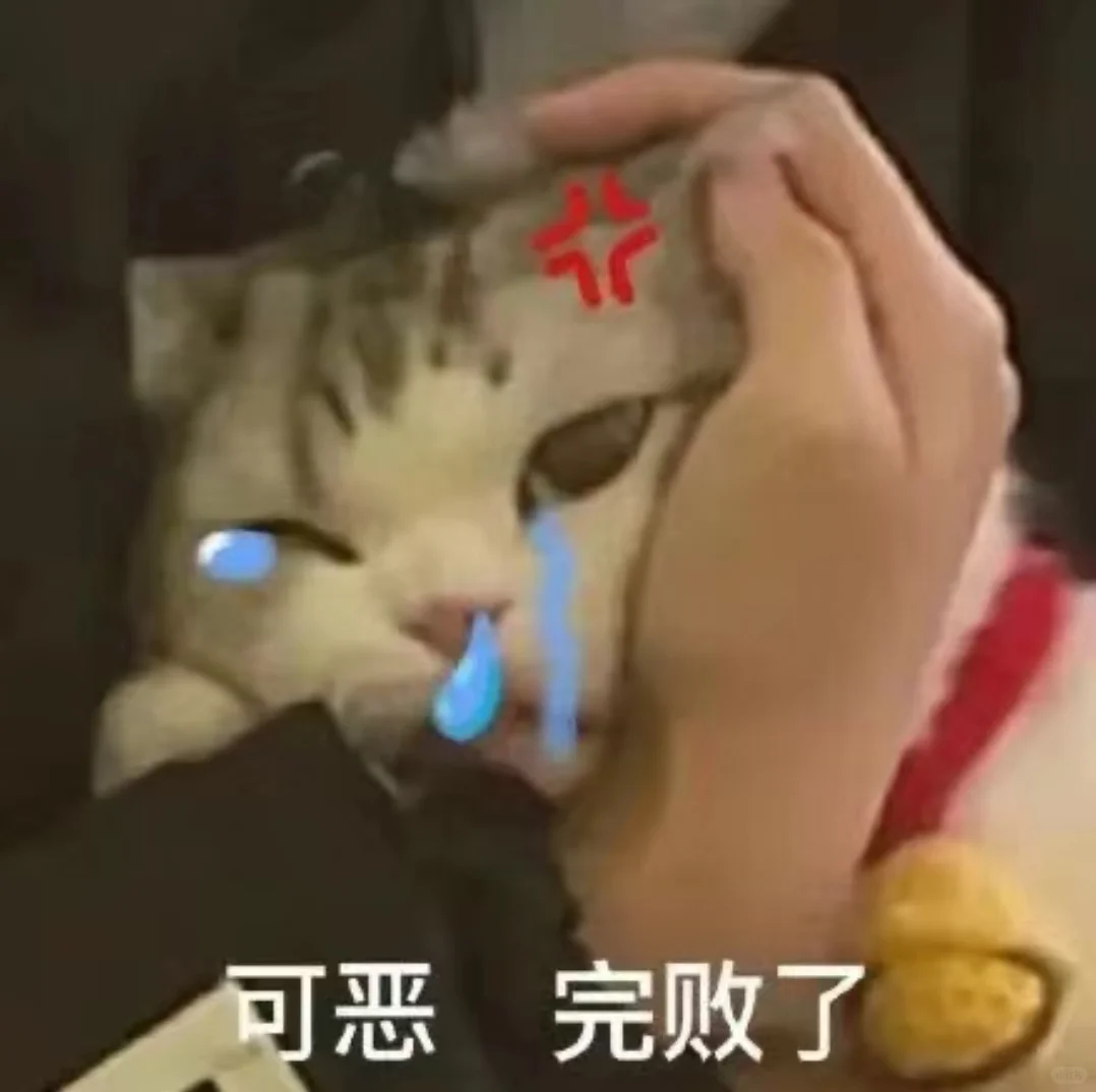 小猫干架表情包合辑2?