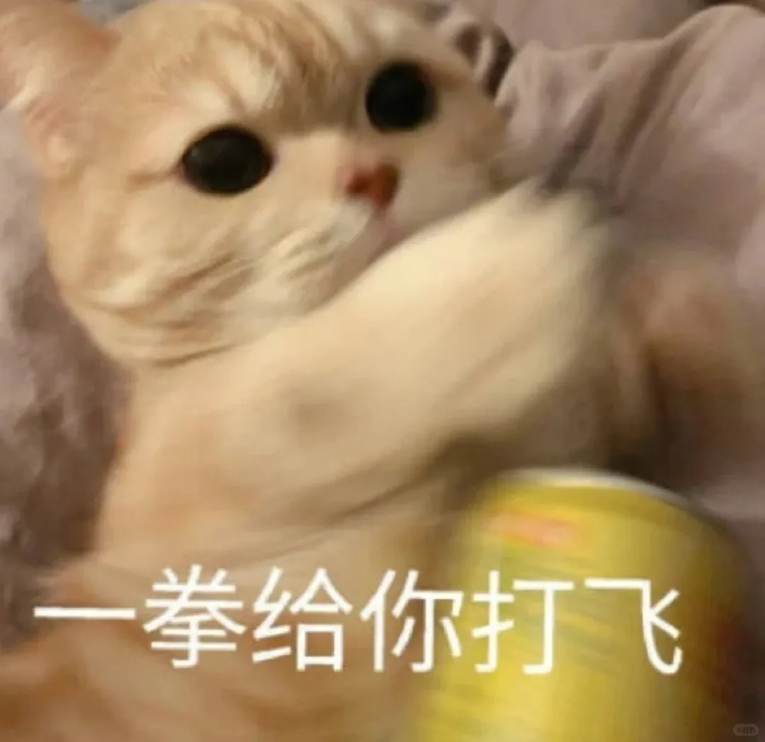 小猫干架表情包合辑2?