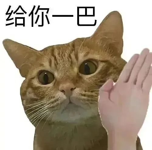 小猫干架表情包合辑2?