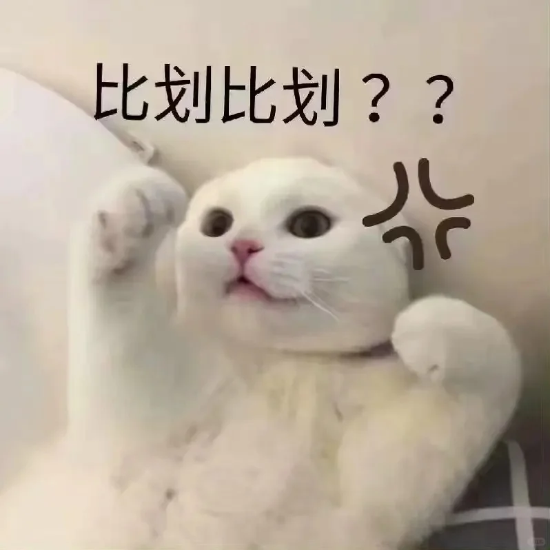 小猫干架表情包合辑2?