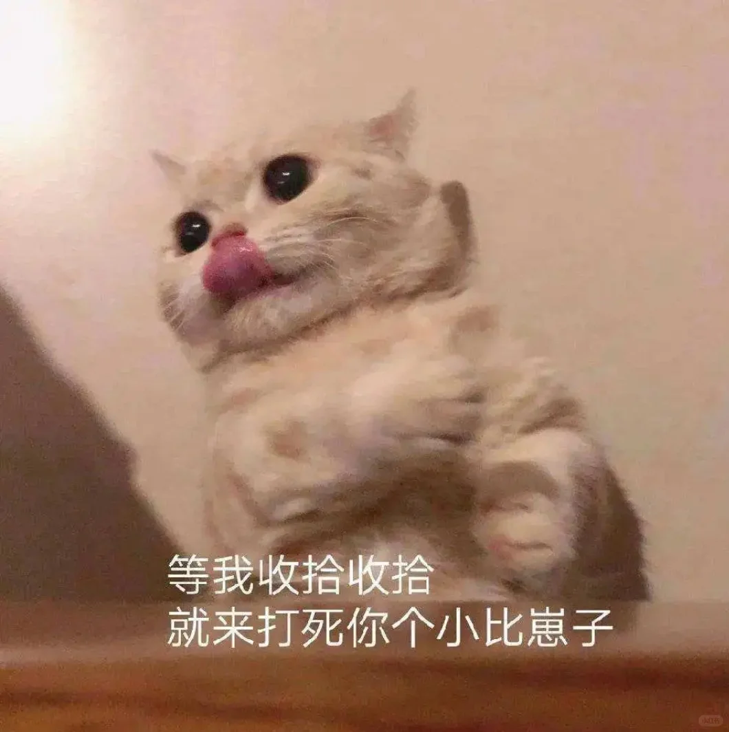 小猫干架表情包合辑2?