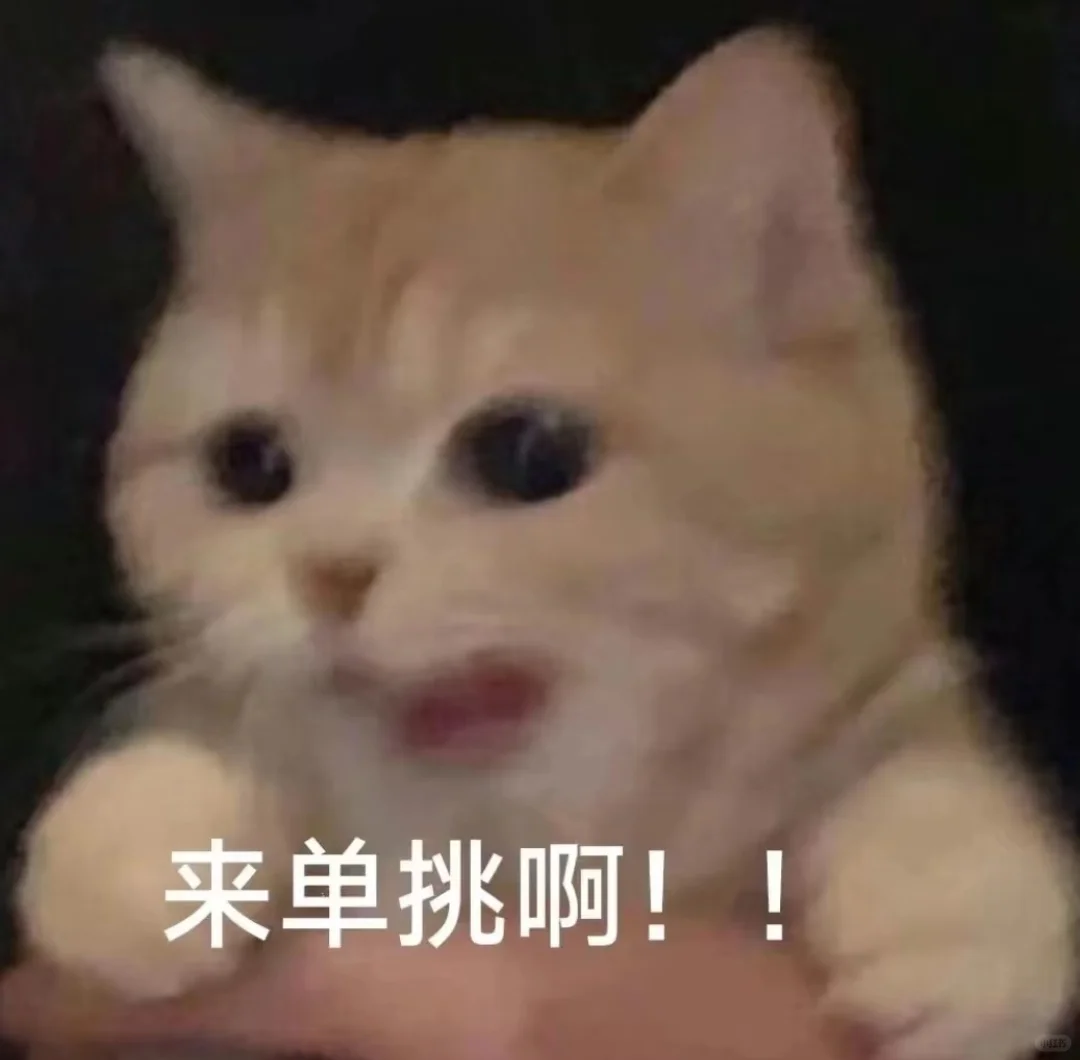 小猫干架表情包合辑2?