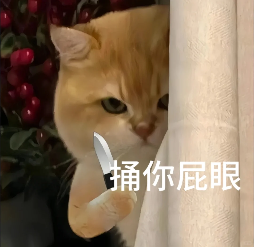 小猫干架表情包合辑2?