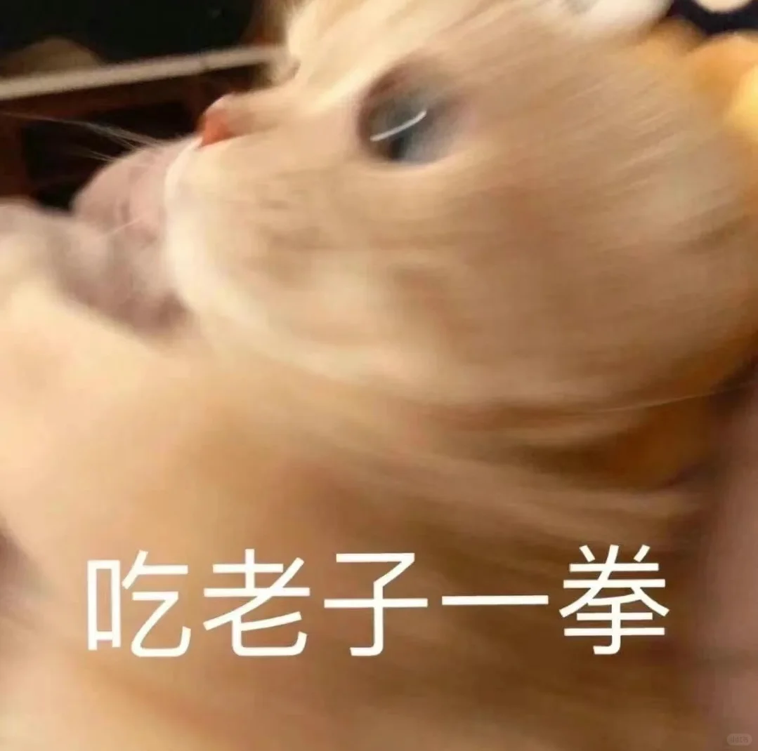 小猫干架表情包合辑2?