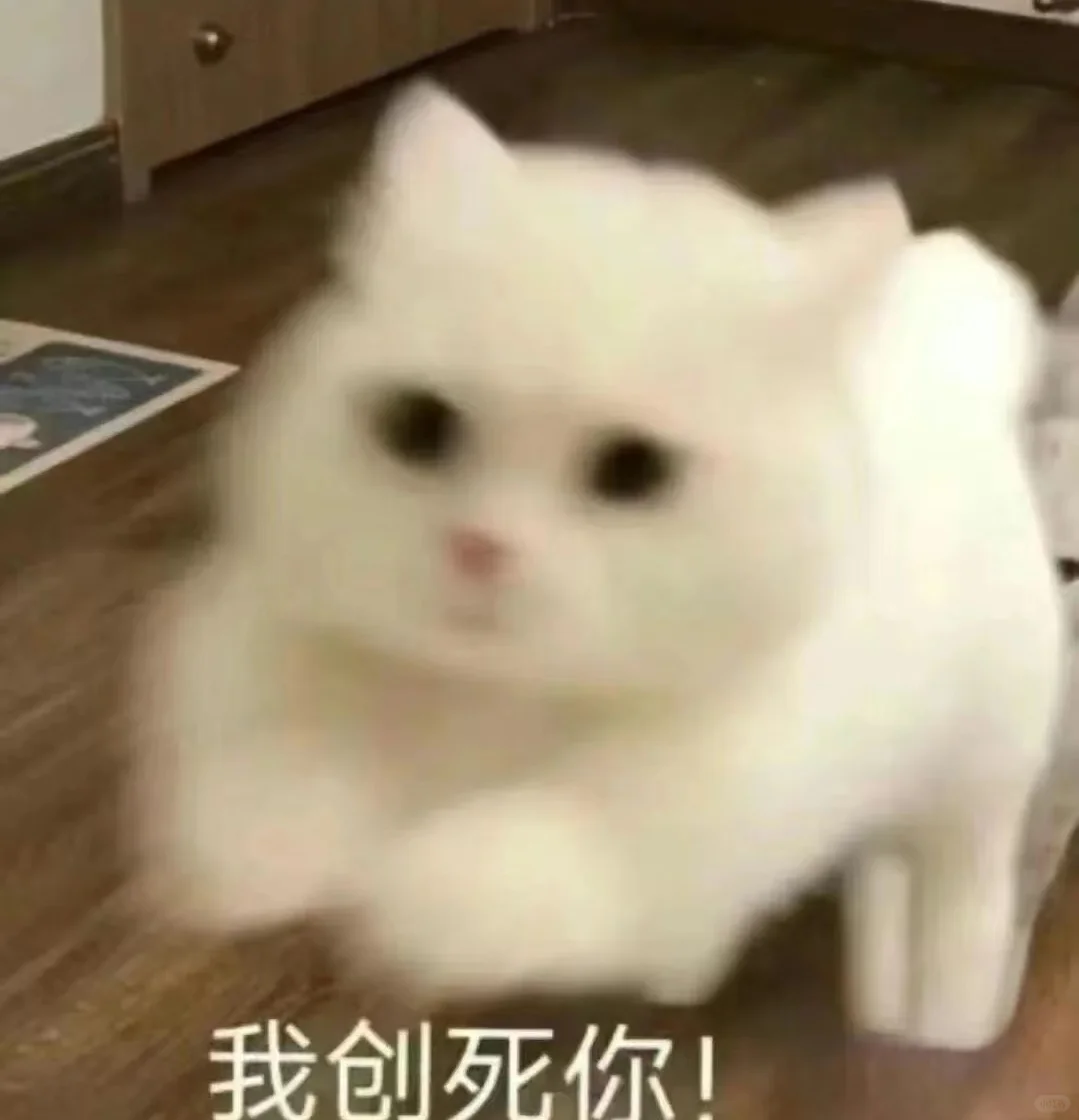 小猫干架表情包合辑2?