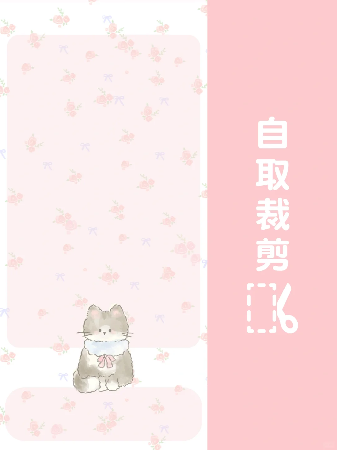 漫天碎花🌸与猫猫狗狗(˃ ⌑ ˂ഃ )