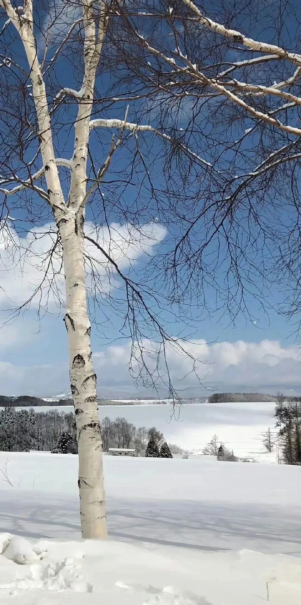 ❄️????? ｜冬日浪漫雪景壁纸