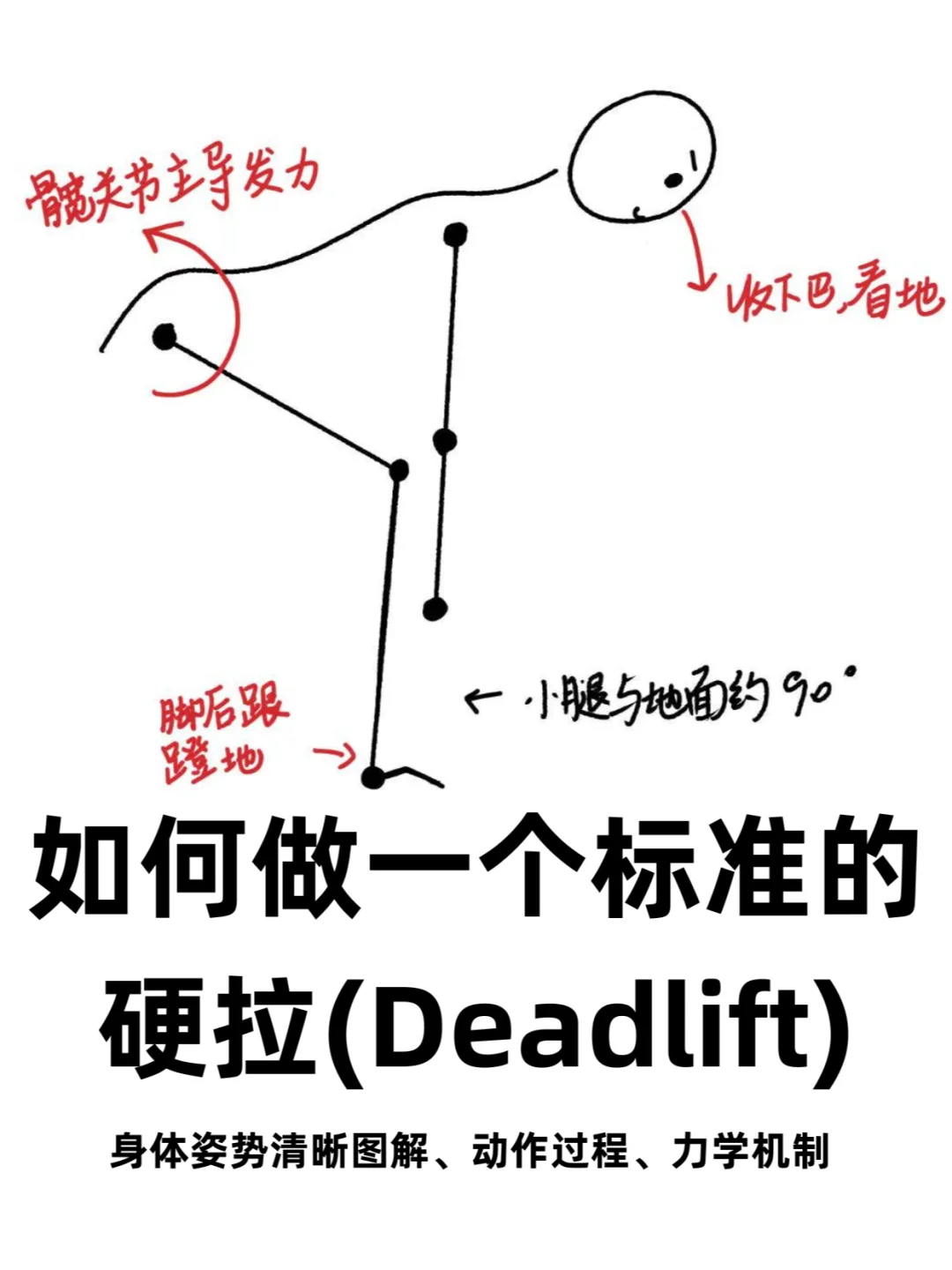 工科女转行健身教练belike（2）：