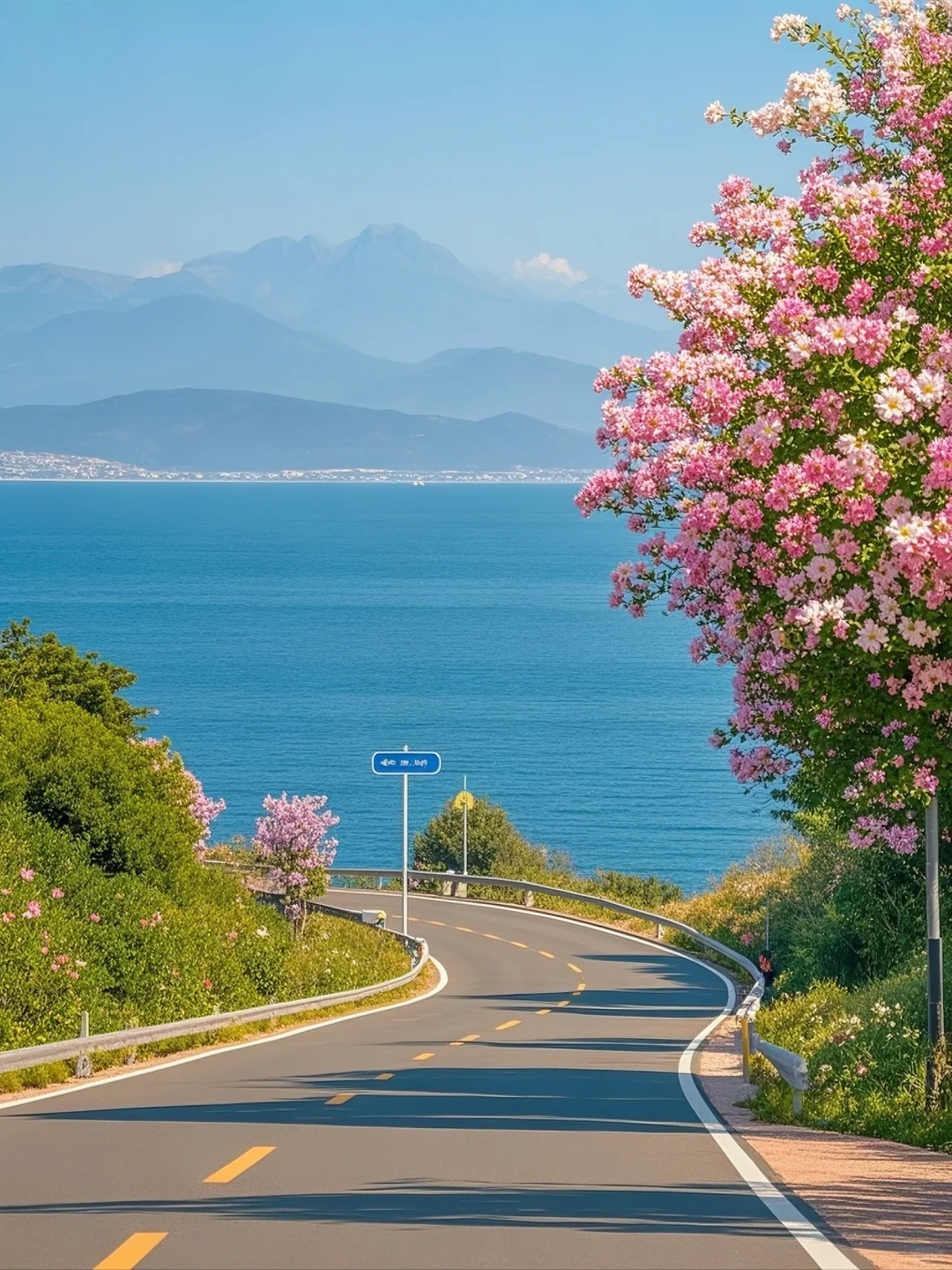 海畔花开，路漫心舒。