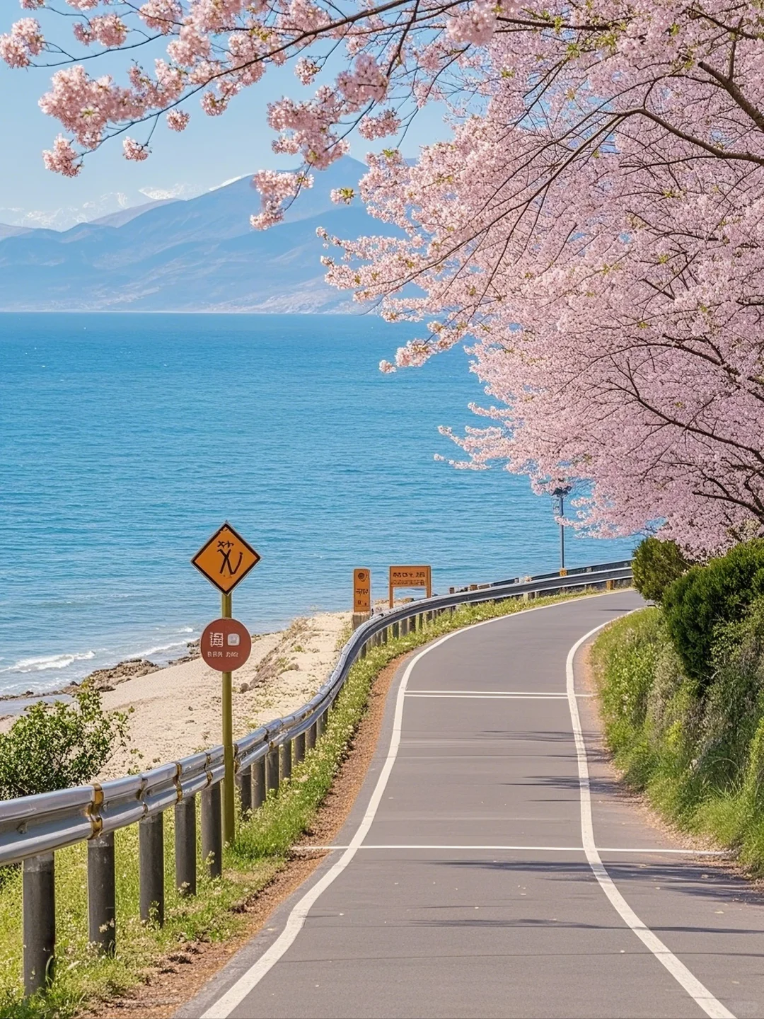 海畔花开，路漫心舒。