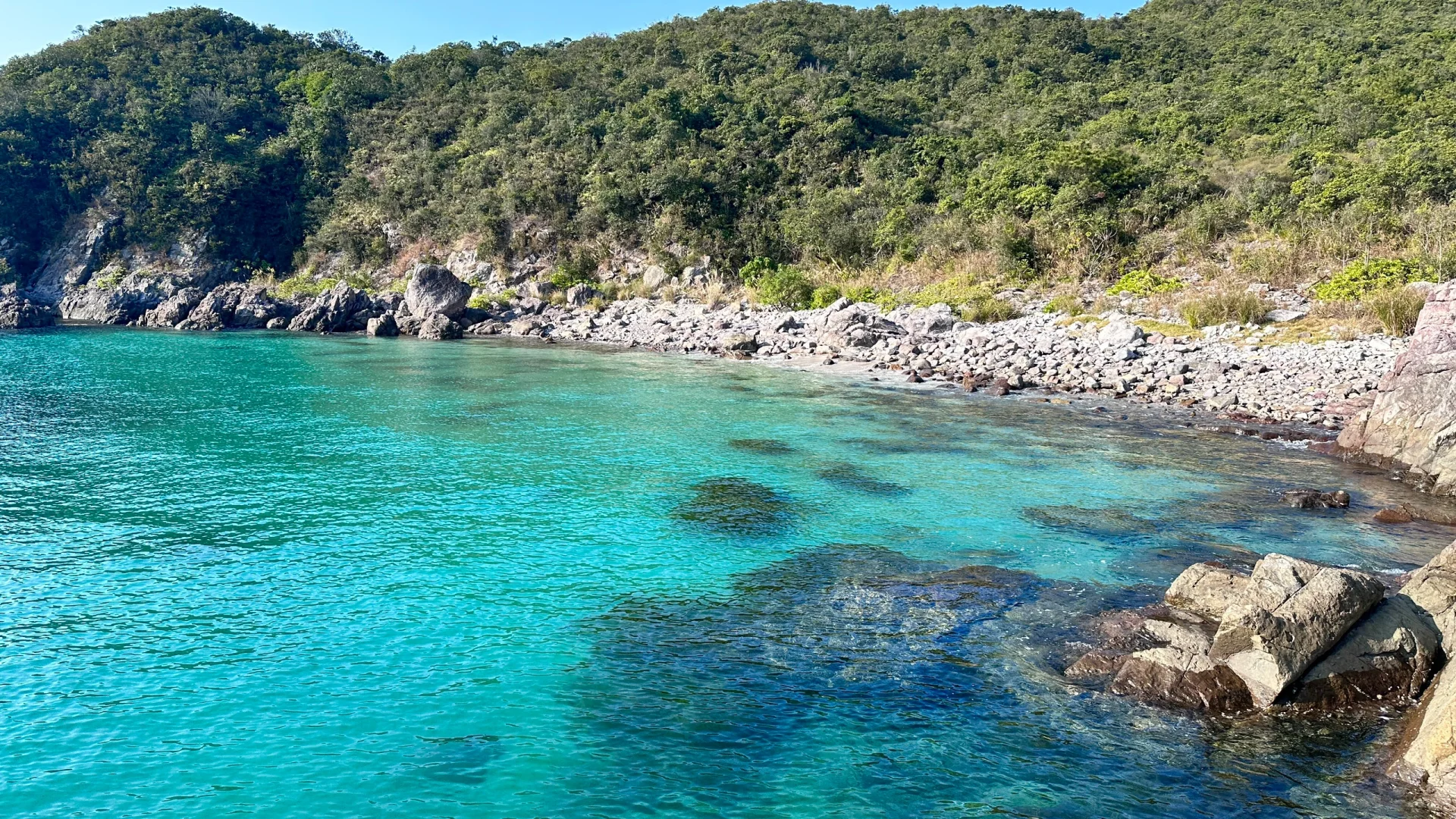 🌴海水也沸腾起来🫧