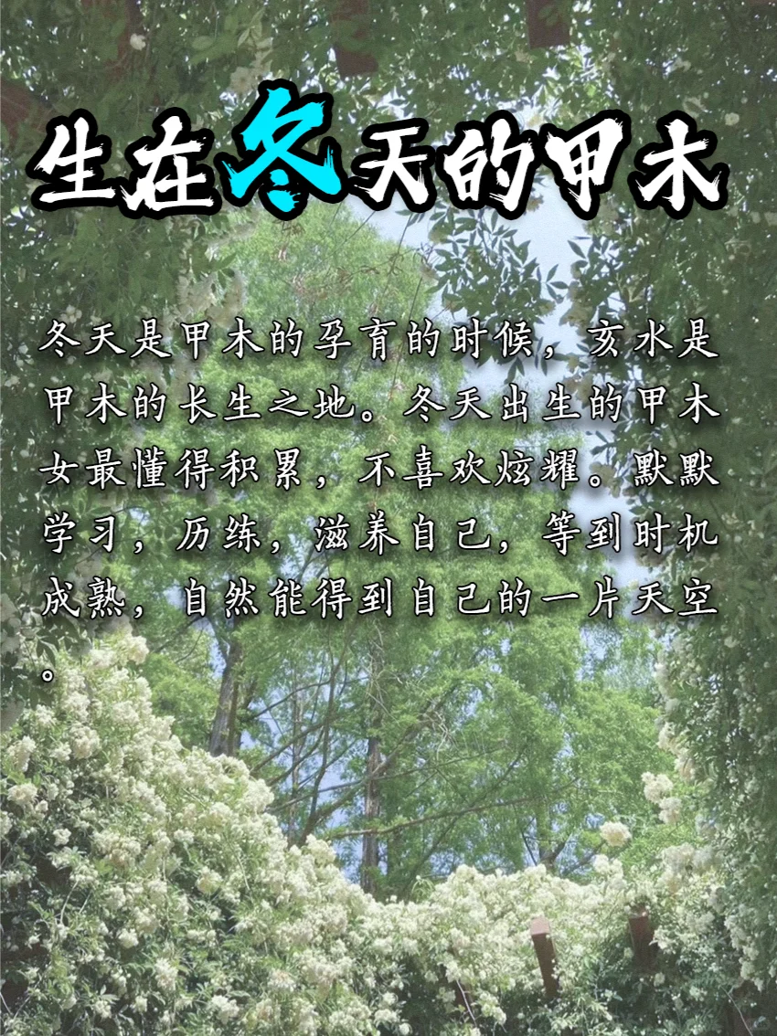 天生大姐大【甲木女】