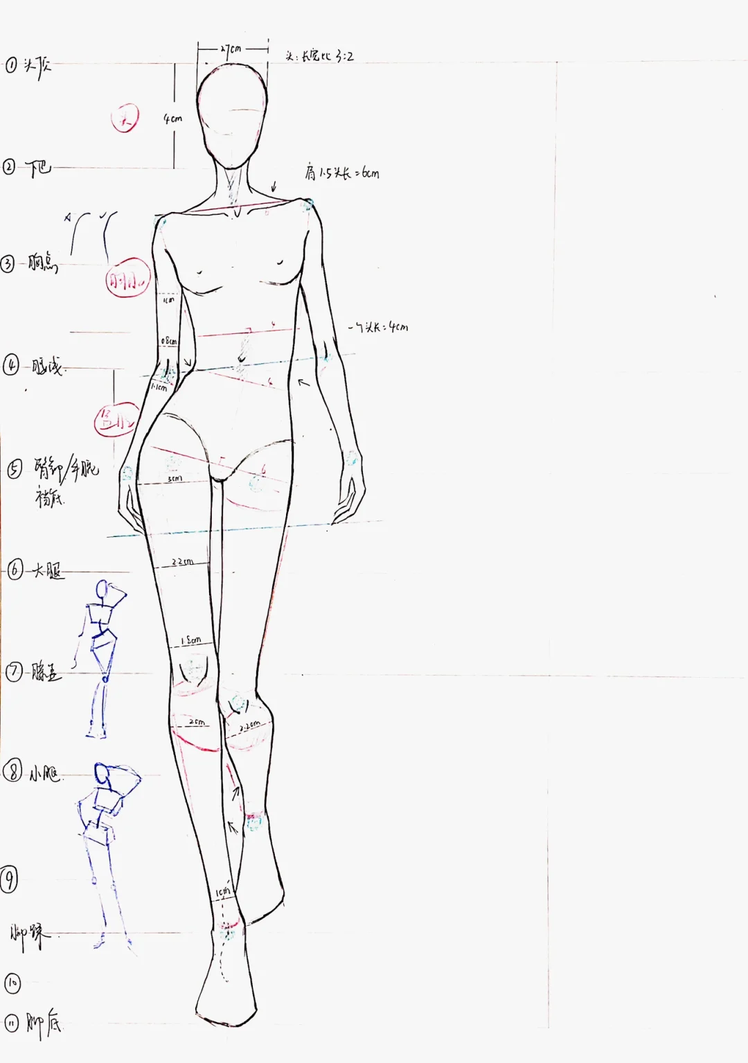 人体动态｜女人体走姿正背面 课程示范