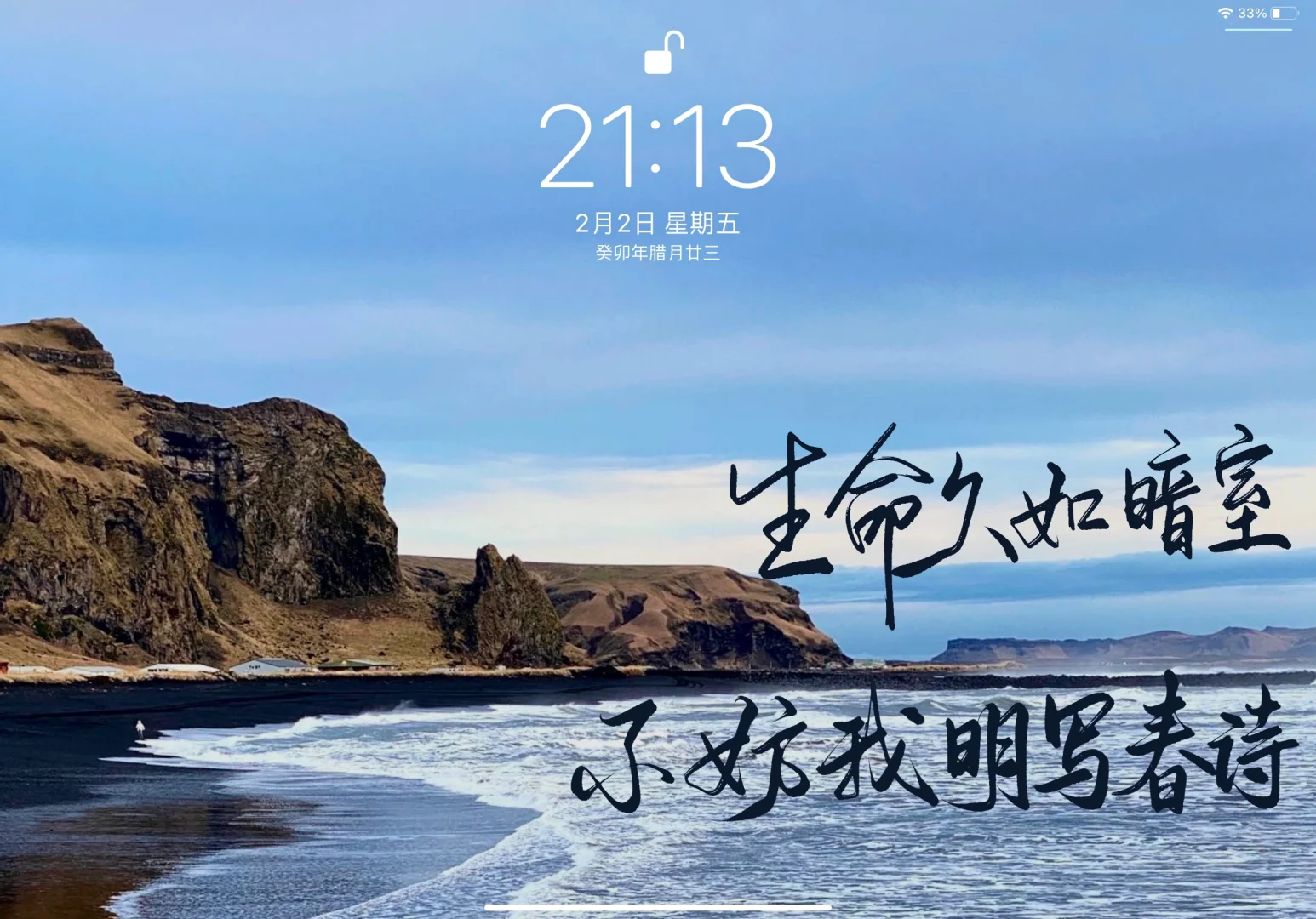 iPad壁纸｜来年依旧迎花开