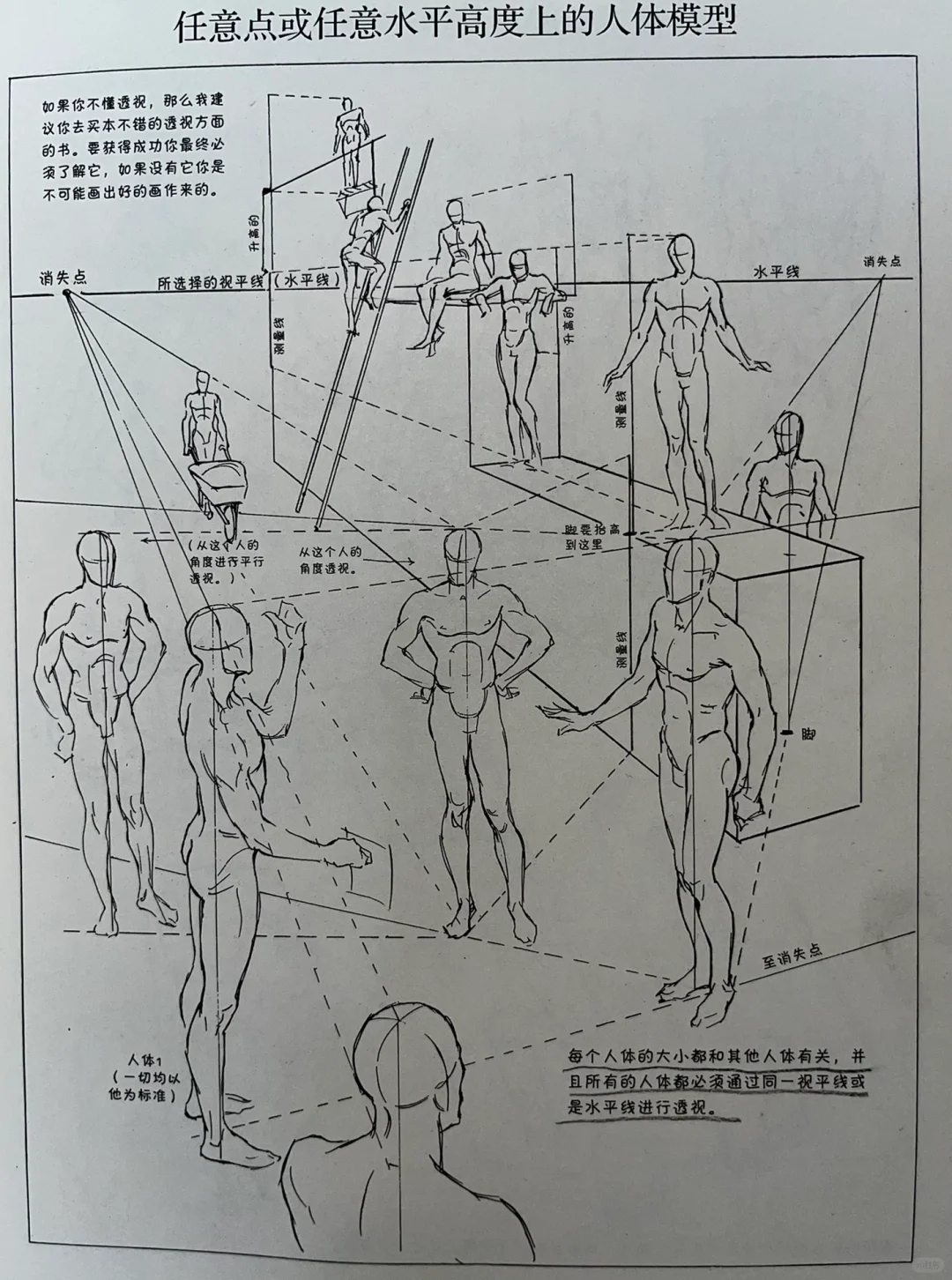 人体透视不了解的拿去