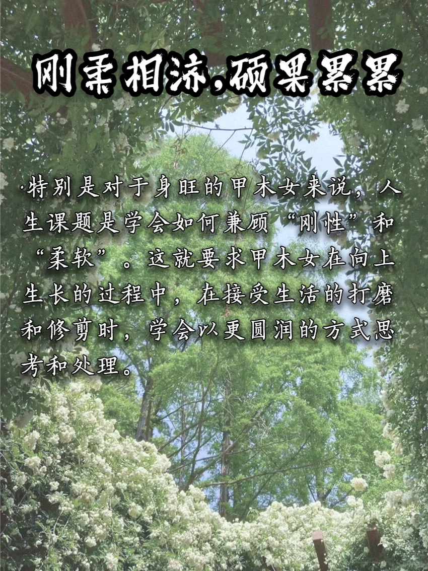 天生大姐大【甲木女】