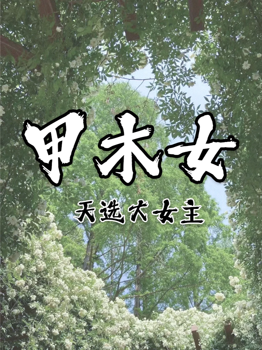 天生大姐大【甲木女】