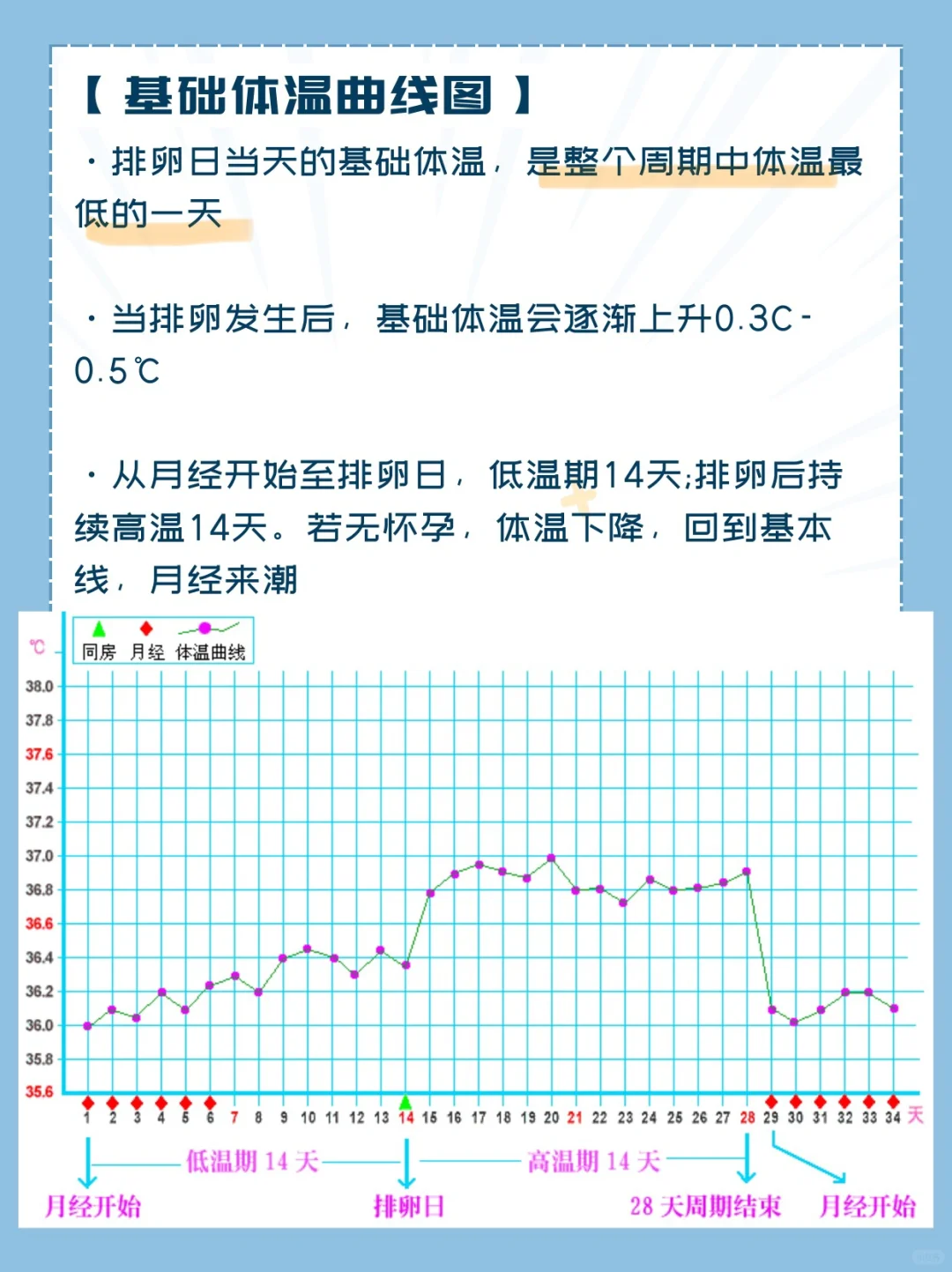 基础体温法?备孕必修课 手把手教会