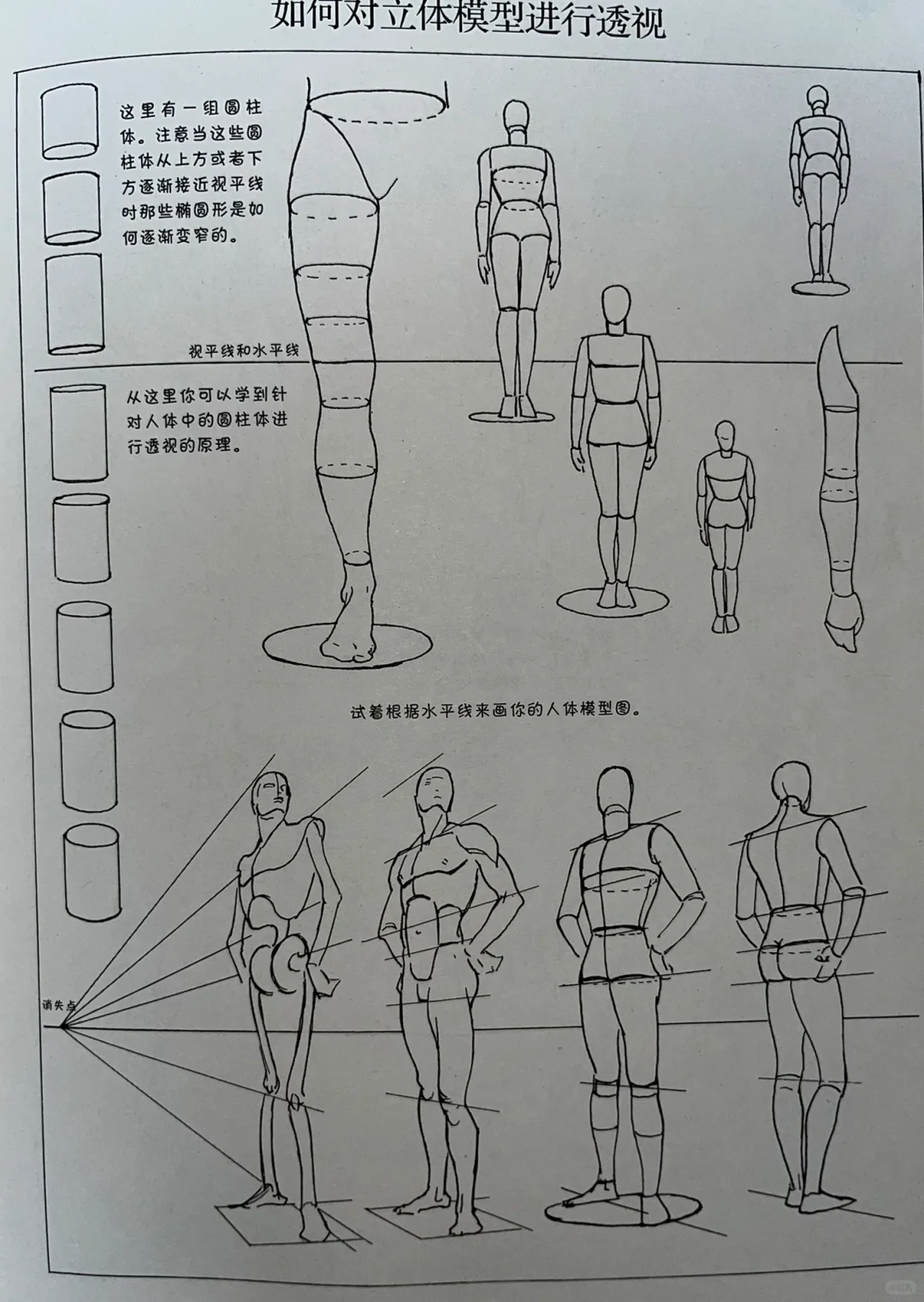 人体透视不了解的拿去