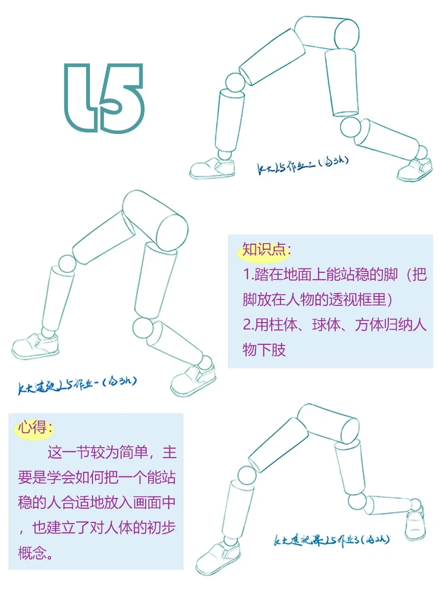 K大 | 透视课结课总结 (L1-L8)