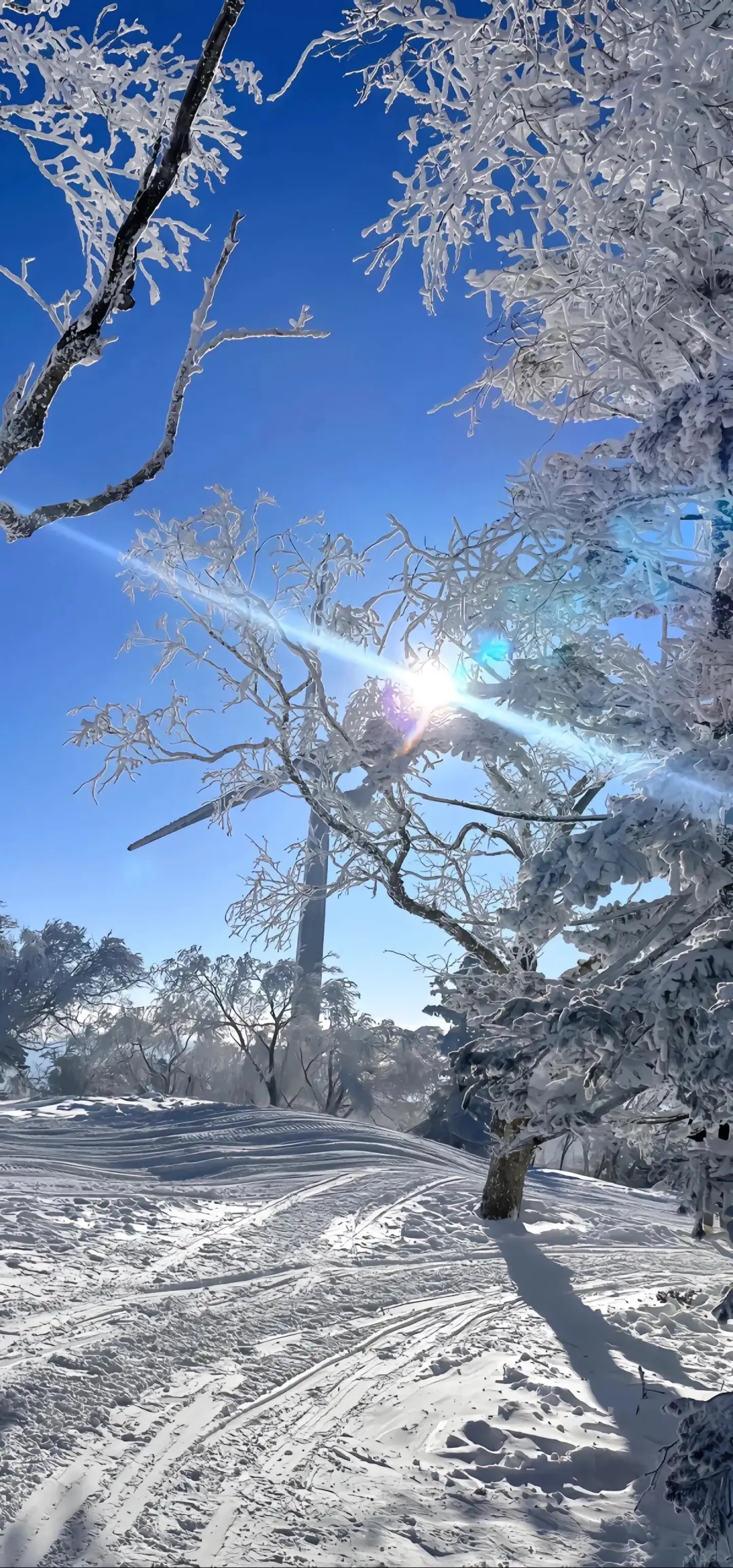 一组iphone雪景壁纸|||冬天雪景壁纸