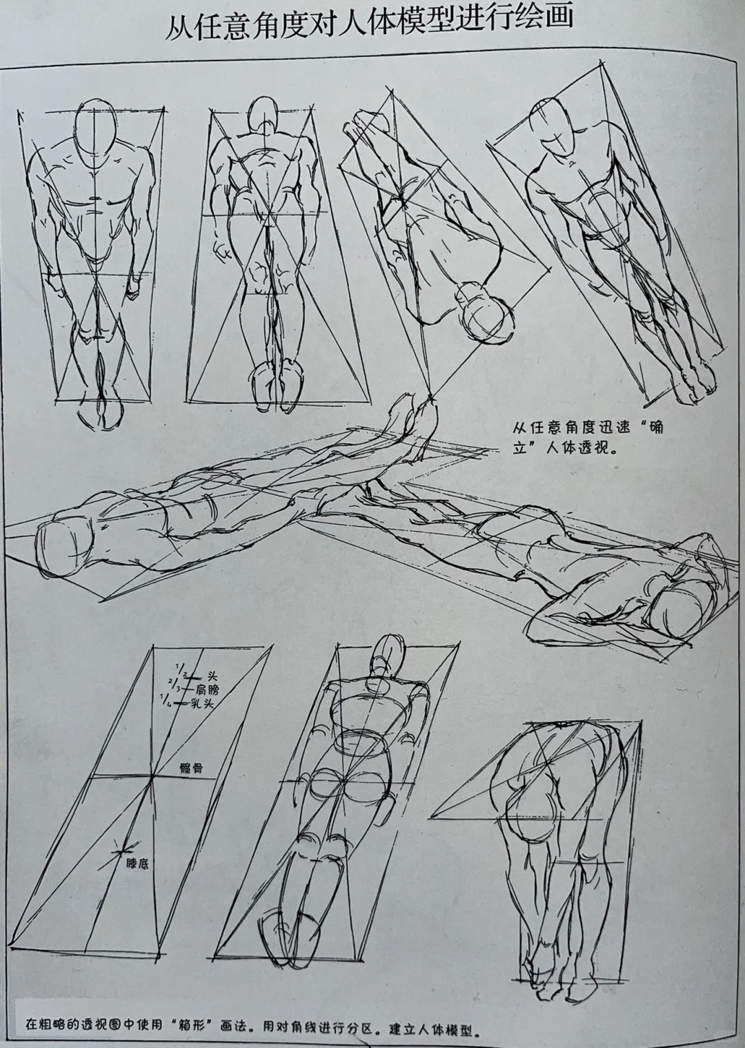 人体透视不了解的拿去