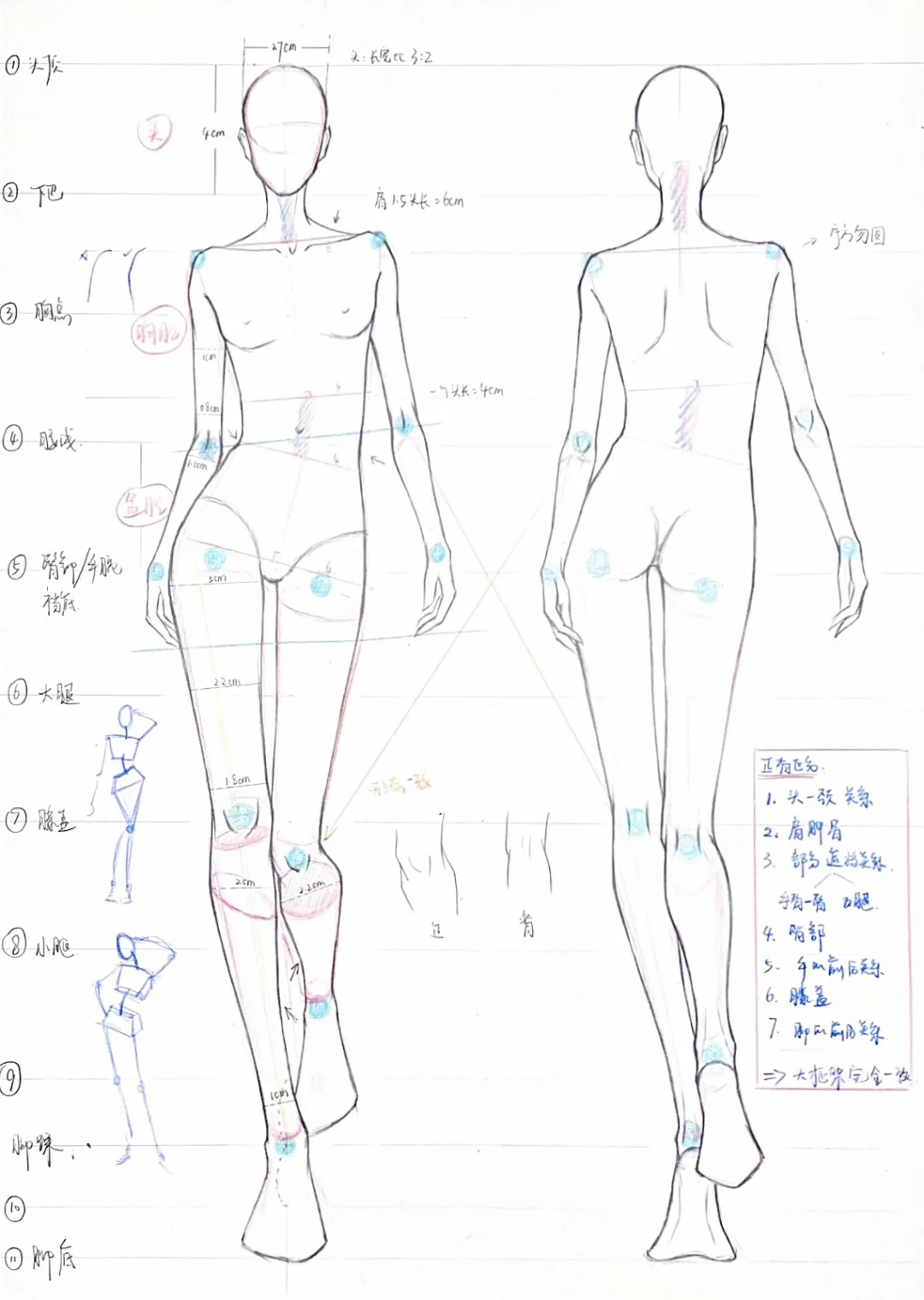 人体动态｜女人体走姿正背面 课程示范