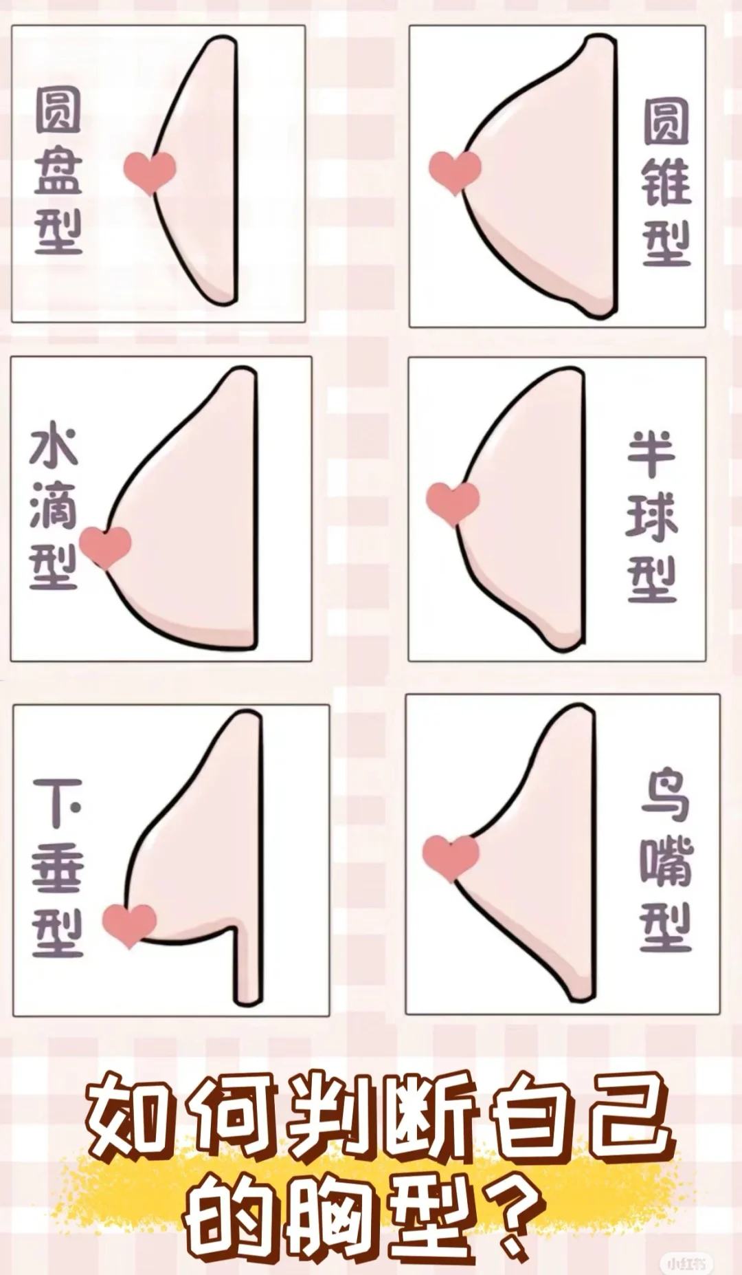 半球形ru房形态母乳情况