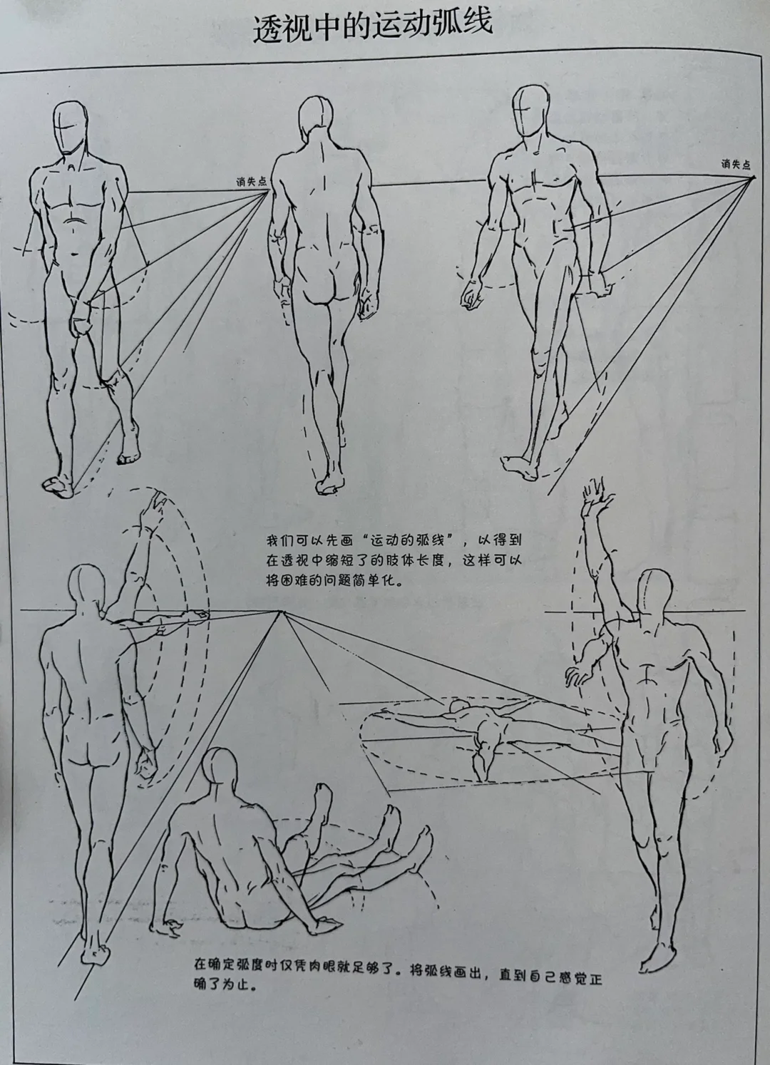 人体透视不了解的拿去