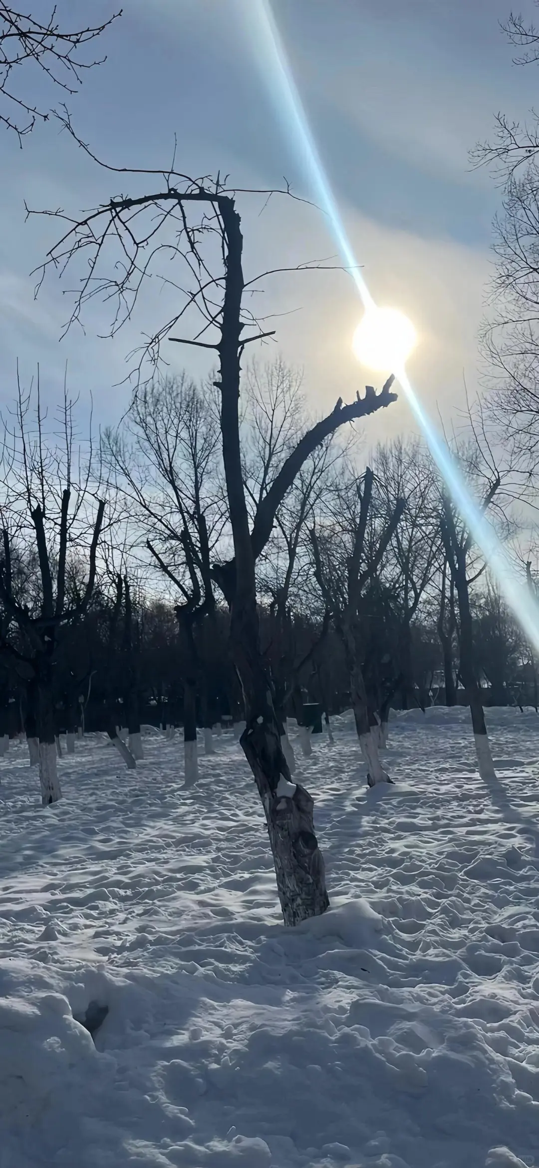 一组iphone雪景壁纸|||冬天雪景壁纸